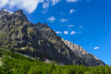 Fototapeta na wymiar Val Ferret - Panorama - Valle d'Aosta