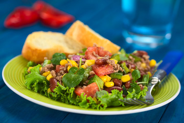 Chili con carne salad made of mincemeat, kidney beans