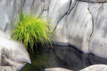 Arroyo de Rocasa en verano, Sauceda, Hurdes, España