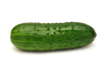 Cucumber