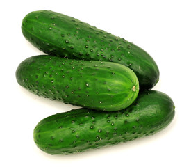 Cucumber