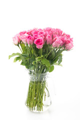 pink rose