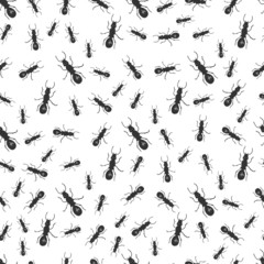 Cute hand drawn seamless pattern with black ants. Insects vector