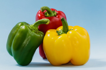 Multicolored peppers (vegetables) on a blue background