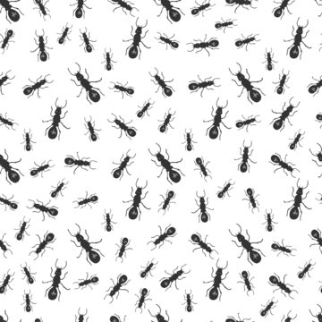 Cute hand drawn seamless pattern with black ants. Insects vector