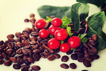 Coffee berries and beans