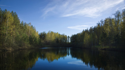 Forest lake
