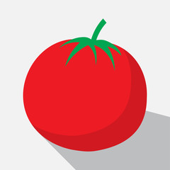 tomato and long shadow