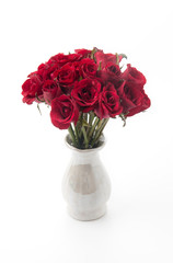 red rose