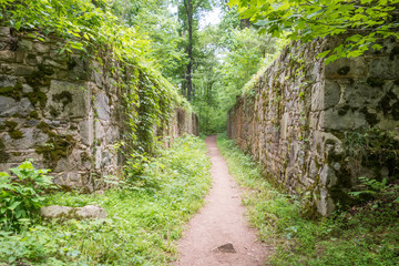 scenes around landsford canal state park in south carolina