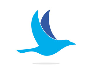 Bird Flying