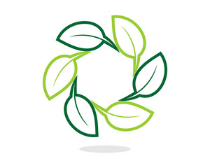 Circle Leaf Gree