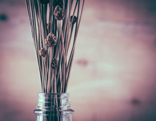 dry grass flower on wood background - soft focus with vintage fi