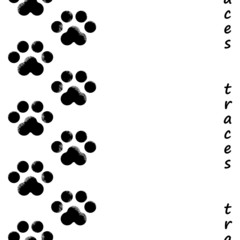 footprints of the animal