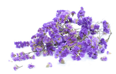 Bunch of purple flowers on white background