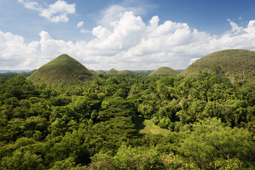 Obraz premium Chocolate Hills in Bohol Island, Philippines.