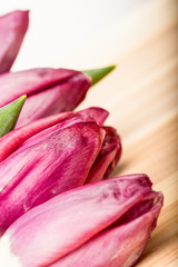 Pink tulips close-up.  Selective focus