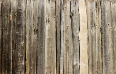 Wooden fence in the background