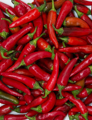 red hot peppers on wooden background