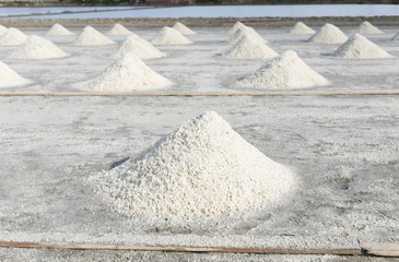 Row of salt in Salt pan