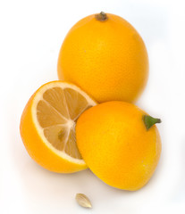 lemon on a white background