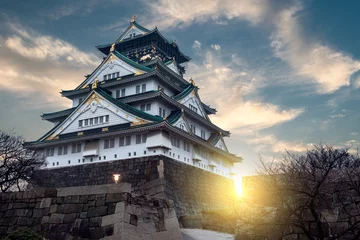 Fototapeten Osaka Castle © Joshua Davenport