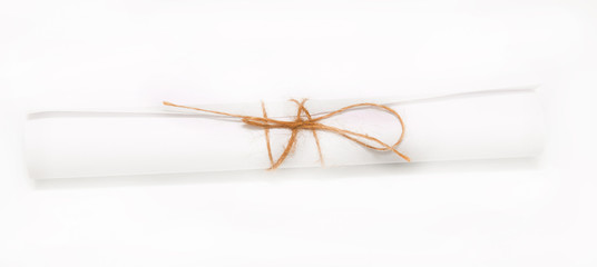 white curled paper on a white background