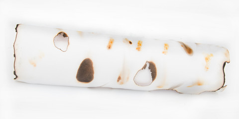 white curled paper on a white background