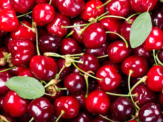 fresh cherries