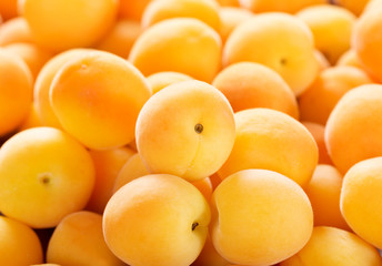 fresh apricots