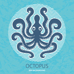 Octopus sea background