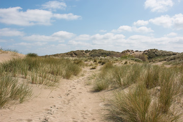 Nordseestrand in Westflandern Belgien