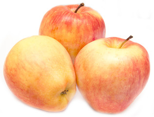 red and yellow apples on a white background