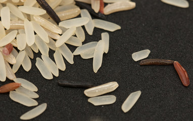 rice grain on black background