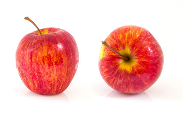 Red ripe apple
