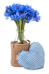 cornflower bouquet in a vase isolated