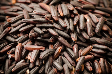 Brown rice (Rice berry)