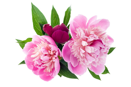 Pink Peony Bouquet