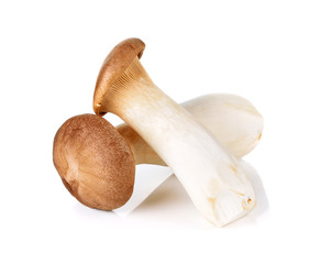 king oyster mushroom on white Background