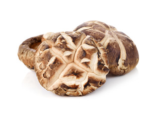 Dry Shiitake Mushroom isolated on white