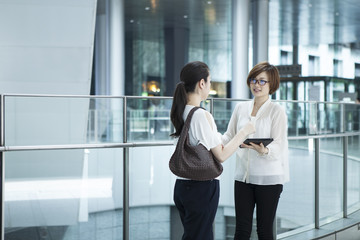 Fototapeta premium Women have a stand talking in the office district