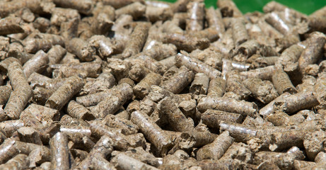 Wood pellets