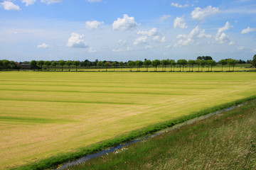 Naklejka premium Amsterdam, la città, la campagna, i dintorni