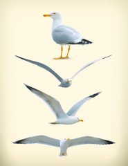 Naklejka premium Sea gulls vector icon set