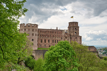 Fototapeta na wymiar Green vegetation in front of Heidelberg Castle