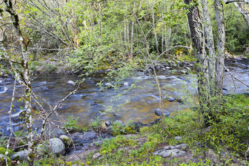 Rio Arenal en Arenas de San Pedro, Avila.