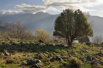 Loma del Cascaj&oacute;n en la Sierra de Gredos. &Aacute;vila