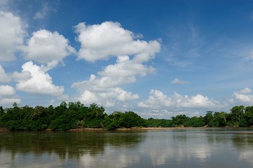 Indonesia - Tropical landscape on the river, Borneo