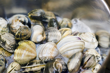 clams from the pan while cooking