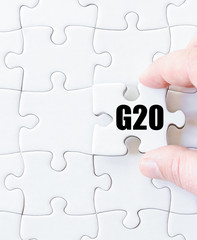 Last puzzle piece with word G20